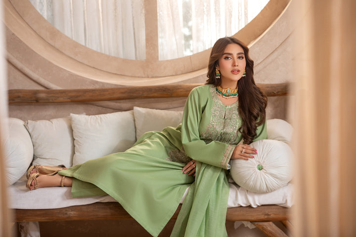 Beautiful green Pakistani Kameez Shalwar with embroidery available near me in the UK.