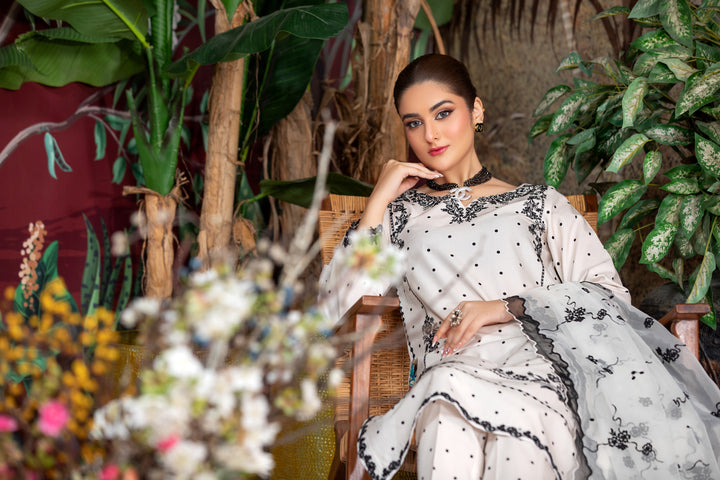 Classic Kameez Shalwar with silver embroidery buy women’s traditional dress in UK near me.